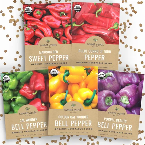 Paquete variado de semillas de pimiento dulce orgánico, 5 paquetes individuales, temporada 2026, rojo, amarillo, verde y mucho más para plantar en