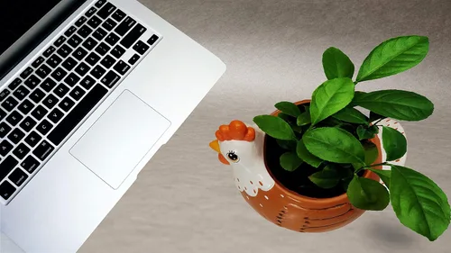 Miniatura 5 de Macetero para pollo, soporte para utensilios de gallo, accesorios de fiesta, maceta para suculentas, para interiores y exteriores, jardín, patio