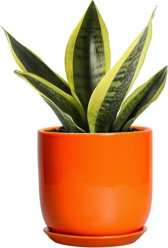 Miniatura 36 de Maceta de Cerámica para Plantas de Interior de 5 Pulgadas - Maceta Redonda para Plantas Suculentas con Agujero de Drenaje y Platillo, Decoración