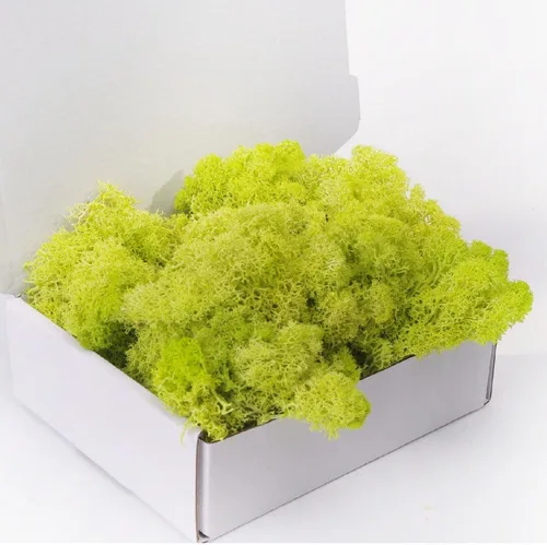 Miniatura 16 de Musgo preservado, musgo de 3.5 onzas para manualidades, decoración de musgo sintético, musgo verde natural para decoración de pared de floristería