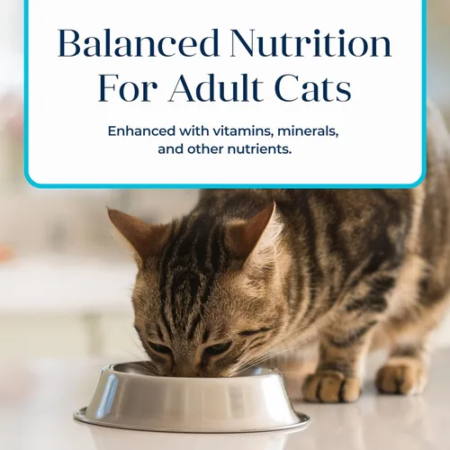 Miniatura 7 de Blue Buffalo Basics - Alimento húmedo para gatos adultos sin granos, cuidado de la piel y el estómago, dieta de ingredientes limitados, receta