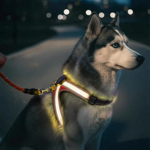 Miniatura 5 de Arnés reflectante con correa para perro con iluminación LED, chaleco de seguridad iluminado para perro