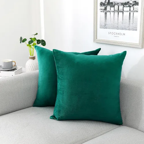 Miniatura 46 de NiNi ALL - Juego de 2 fundas de almohada decorativas de terciopelo, fundas de almohada para sofá, fundas de almohada para dormitorio, sala de estar