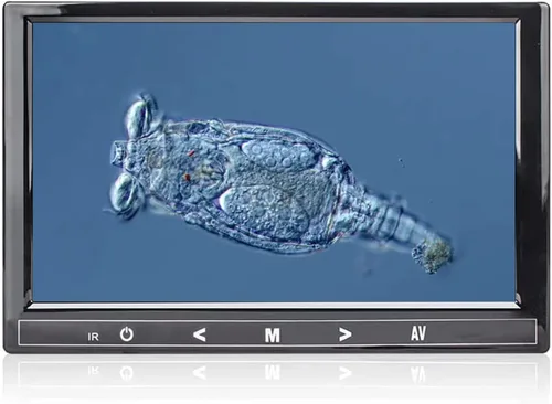 Miniatura 3 de 7" pantalla LCD de 5MP para tamaño de montaje del microscopio trinocular 76.1 ft m