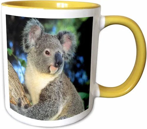 Miniatura 10 de 3dRose Oso de koala, Australia, árbol de eucalipto - SA01 KSC0000 - Kevin Schafer - Taza negra de dos tonos de 11 oz