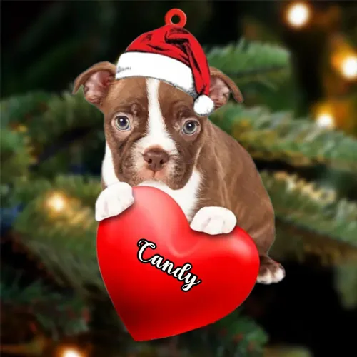 Miniatura 61 de Adornos de Navidad personalizados para perros, nombre personalizado, adorno de Malamute de Alaska, adornos acrílicos, regalos de Navidad, amantes