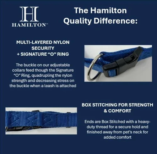 Miniatura 3 de Collar de perro ajustable de Hamilton, 3/8 pulgadas, Negro