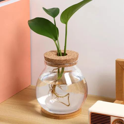Miniatura 7 de balacoo Betta Fish Bowl - Tanque de cristal Betta con cojín hidropónico, terrario para decoración de oficina en casa, pecera pequeña para ecosistema