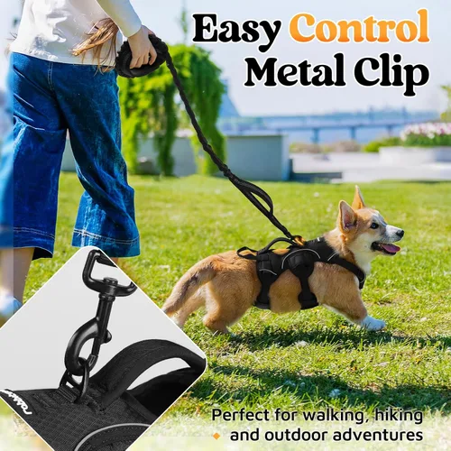 Miniatura 7 de rabbitgoo - Arnés para perros a prueba de fugas, arnés para mascotas acolchado y suave de cuerpo completo, arnés reflectante ajustable sin tirones