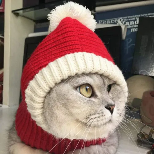 Miniatura 5 de POPETPOP Sombrero de Navidad para perro, cálido gorro de invierno para cachorros, grueso, pequeño, de punto, para gato, Navidad, diadema, ropa