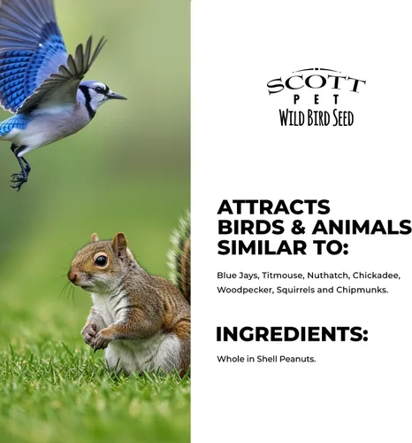 Miniatura 6 de Scott Pet Semillas para Aves Silvestres, Cacahuetes Enteros, Bolsa de 4 libras, Alimento, Gran Fuente de Proteína y Fibra, Cacahuetes para Aves