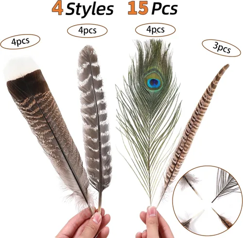 Miniatura 4 de Ballinger Plumas de faisán naturales grandes – 8-12 pulgadas, 4 estilos, 15 plumas de manualidades surtidas a granel, plumas de pavo real faisán