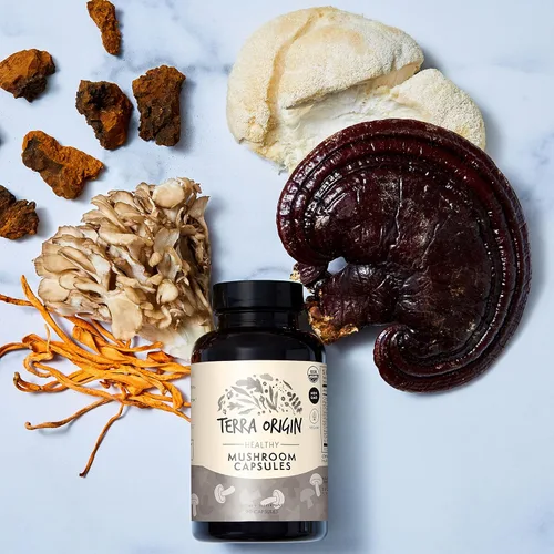 Miniatura 5 de TERRA ORIGIN Suplemento de complejo de hongos saludables 90 cápsulas Reishi, melena de león, Changa, Cordyceps, Maitake Apoyo cerebral