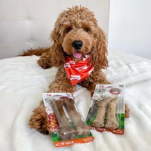 Miniatura 2 de Nylabone Healthy Edibles WILD - Golosinas naturales masticables para perros grandes, de larga duración, para perros saludables, cuernos masticables