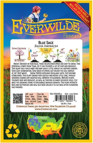 Miniatura 2 de Everwilde Farms - 1000 semillas de flores silvestres de salvia azul - Paquete de semillas jumbo Gold Vault