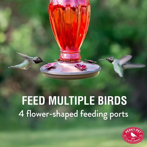 Miniatura 2 de Vasija clásica de vidrio alimentadora de colibríes Perky Pet Daisy , Rojo