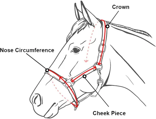 Miniatura 2 de Caballo completo Caballo Nylon Halter con correa Removalbe 7' (rosa)