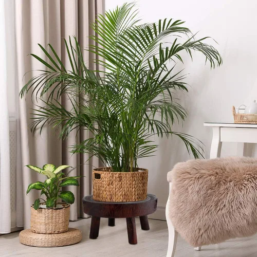 Miniatura 2 de Taburete de madera para plantas, soporte bajo para plantas, soporte redondo para macetas elevadoras, soportes para múltiples plantas, soporte Marrón