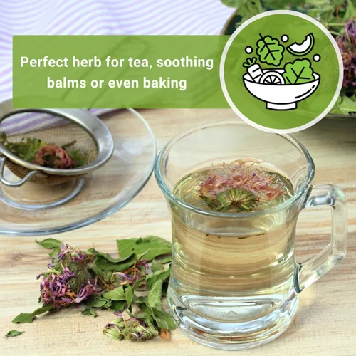 Miniatura 5 de Sow Right Seeds - Semilla de limón y menta para plantar - Heirloom sin OMG con paquete con instrucciones para plantar y cultivar un jardín de té