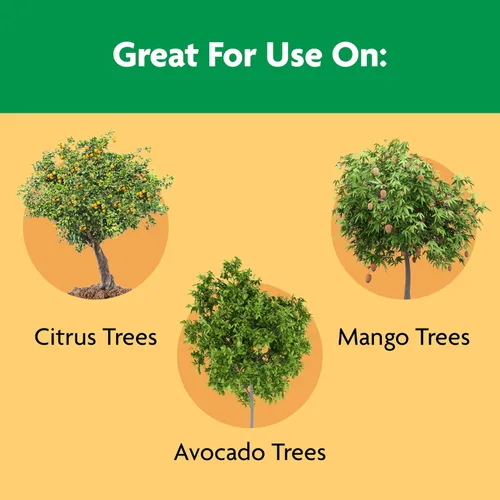 Miniatura 4 de Miracle-Gro Shake 'N Feed Alimento vegetal de liberación continua para cítricos, aguacate y mango, 4.5 libras