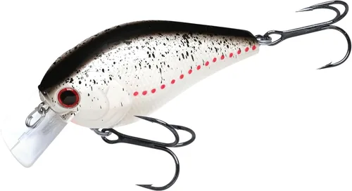 Miniatura 17 de LUCKY CRAFT LC 2.5 Señuelos de Pesca Crankbait Silenciosos, Crankbait Squarebill de 2-3/8", Señuelos para Lubina, Carnada Dura Flotante de 419 BP