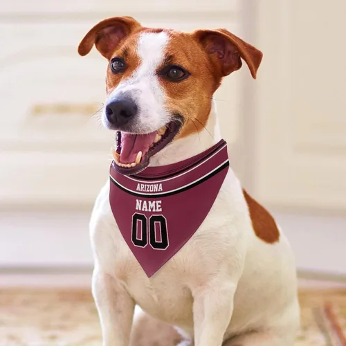 Miniatura 3 de Arizona - Bandana de fútbol para perro, diseño personalizado, número de nombre, regalos para gatos