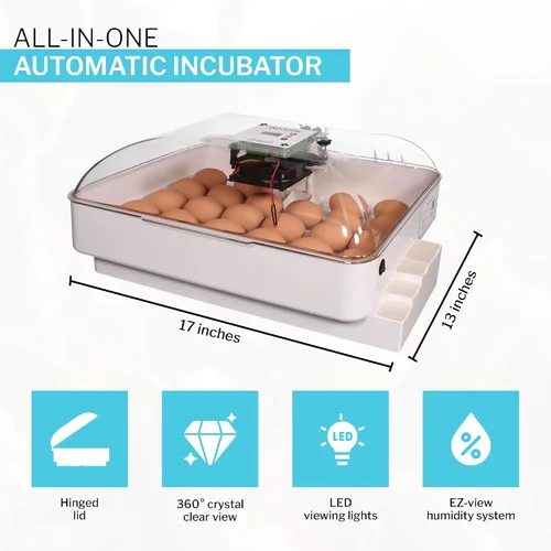 Miniatura 3 de IncuView 3 Pro Incubadora automática todo en uno para huevos de gallina (universal) Huevos para incubar Girador automático de huevos Pollo
