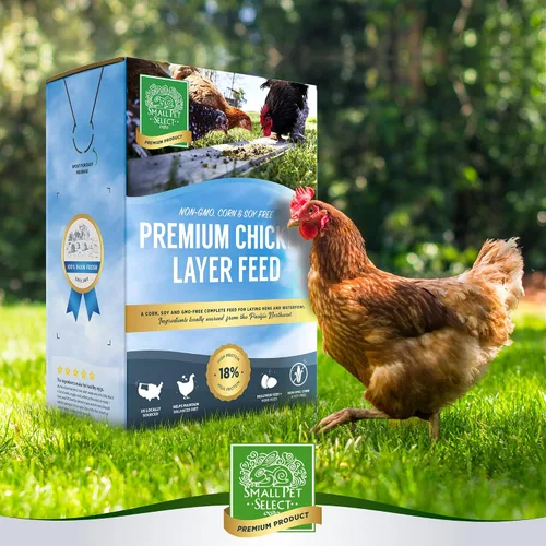 Miniatura 6 de Small Pet Select Pellets de alimentación de capa de pollo, alimento para pollos y gallinas ponedoras, aves de corral y aves acuáticas, alto