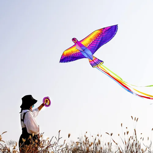Miniatura 5 de Mint’s Colorful Life Large Kite for Kids and Adults, Easy to Fly Single Line Beach Kites, Comes with 300ft String Handle