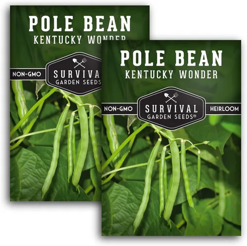 Miniatura 10 de Semilla de judía polera Kentucky Wonder para plantar - 1 paquete con instrucciones para plantar y cultivar judías verdes en tu jardín de hortalizas
