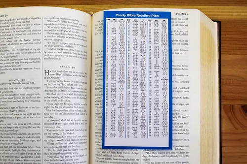 Miniatura 5 de Planes de lectura bíblica, juego de 50 marcadores de estudio de planificador diario, lee toda la escritura en un año, pestañas devocionales