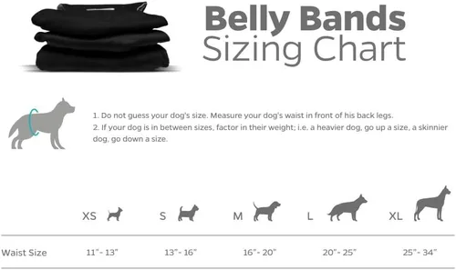 Miniatura 6 de Pet Parents - Bandas abdominales y extensores lavables prémium para perros machos - Pañales para perros machos - Paquete de 3 - Color: negro