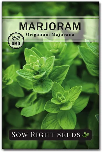 Sow Right Seeds - Semillas de mejorana para plantina - Paquete de reliquia sin OMG con instrucciones para cultivar un hermoso jardín de hierbas -