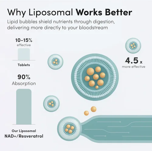 Miniatura 3 de Vida Lifescience Suplemento líquido liposomal NAD+ con resveratrol - NAD Plus para energía celular y apoyo al envejecimiento saludable, vegano, sin