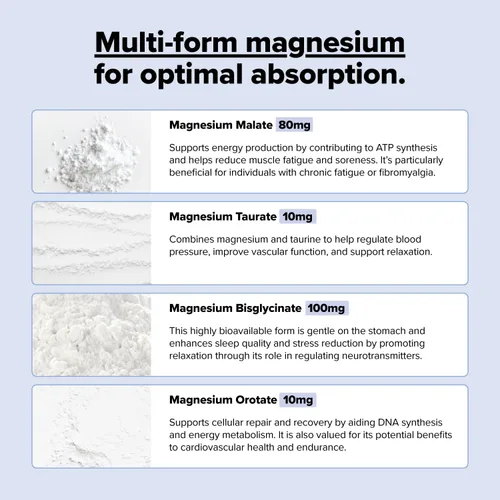 Miniatura 4 de COMPLEMENT Magnesio - Complejo de 4 formas biodisponibles - Malato, Taurato, Bisglicinato, Orotate - Suplemento para relajación, recuperación