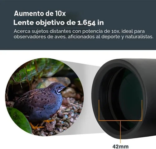 Miniatura 3 de Celestron - Prismáticos Outland X 10x42 – Ideales para Observación de Aves y Actividades al Aire Libre – Lentes Objetivas de 42mm – Campo de Visión
