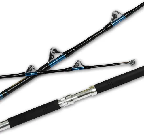 Fiblink Caña de pescar de pesca de pesca de pesca de pesca de pesca de agua salada en alta mar con todas las guías de rodillos (potencia pesada, 5