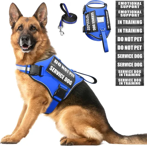 Juego de arnés y correa para perro de servicio, chaleco de entrenamiento para perros con 10 parches para perros, arnés y chaleco para perros de Azul