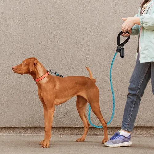 Miniatura 7 de Correa de perro resistente para perros de raza grande, mediana y pequeña, correa de perro reflectante con asa cómoda, correas de cuerda