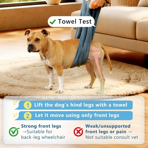 Miniatura 7 de Silla de ruedas para perros para patas traseras, altura/longitud/ancho ajustable, silla de ruedas resistente con ruedas que absorben los golpes, Gris