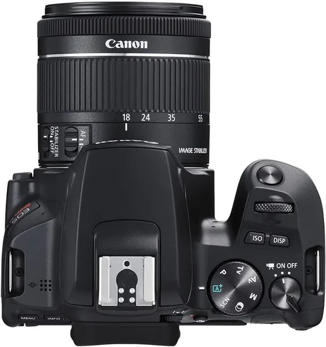 Miniatura 5 de Canon EOS Rebel SL3 Cámara DSLR con lente de 0.709-2.165 in (negro) (3453C002), tarjeta de memoria de 64GB, kit de filtro de color, funda, kit