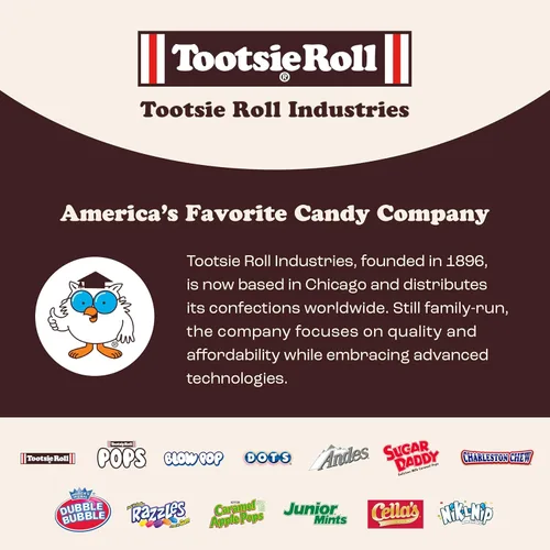 Miniatura 8 de Tootsie Roll Child's Play Candy Favorites – Fabricado en Estados Unidos – 5 libras de dulces de fiesta envueltos individualmente – Bolsa de mezcla