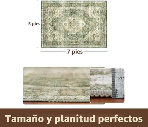 Miniatura 2 de AMOAMI - Alfombra de área de 5 x 7 pulgadas, alfombras para sala de estar - alfombras vintage suaves verdes para dormitorio - alfombra Verde oliva