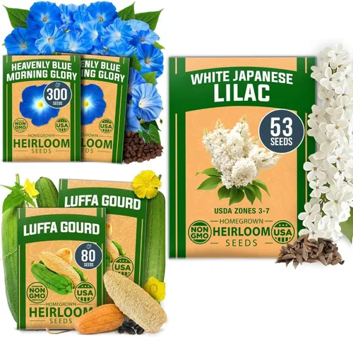 HOME GROWN Flower Seed Trio - Más de 430 semillas de Estados Unidos sin OMG | Lila blanca japonesa, calabazas Luffa y Gloria de la mañana | Alta