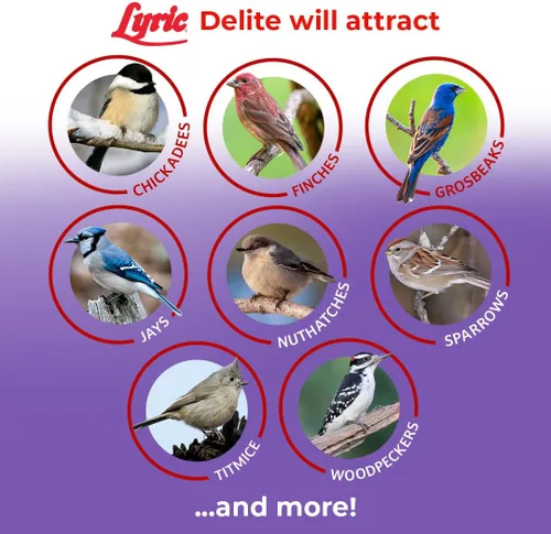 Miniatura 5 de Lyric Delite Semillas de aves silvestres – Mezcla de alimentos para pájaros sin desperdicios con nueces y semillas sin cáscara – Atrae banderines