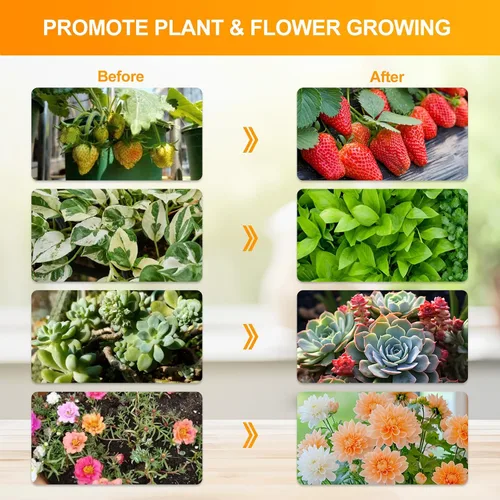 Miniatura 6 de FECiDA Luces de cultivo para plantas de interior de espectro completo, luz de crecimiento de escritorio, temporizador de 4/8/12 horas, lámpara