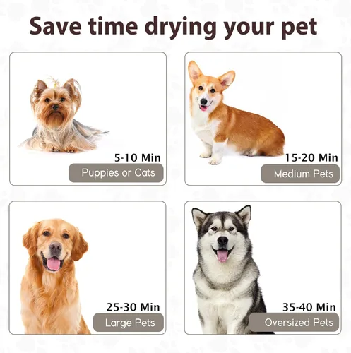 Miniatura 6 de Secador de pelo para perros de alta velocidad para aseo, soplado de 3800 W/5.2 HP para perros grandes, Sechoir Pour Chien con velocidad ajustable