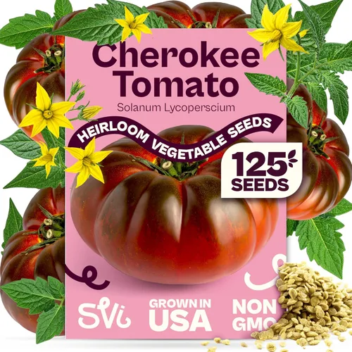 Miniatura 25 de SVI 550 semillas grandes de tomate cereza roja (Solanum lycoperscium) - Paquetes de semillas de tomates cherry, mini tomates en la vid - Semillas