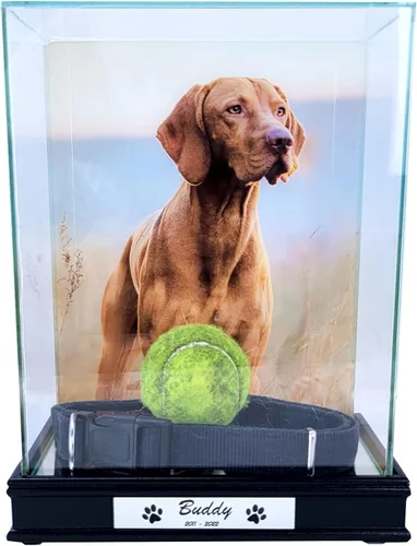 Miniatura 12 de Perfect Cases Marco conmemorativo para mascotas con pantalla de collar e impresión fotográfica de 8 x 10 pulgadas y grabado personalizado..