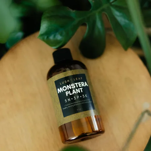 Miniatura 9 de Lush Leaf Alimento para plantas (Gardenia)